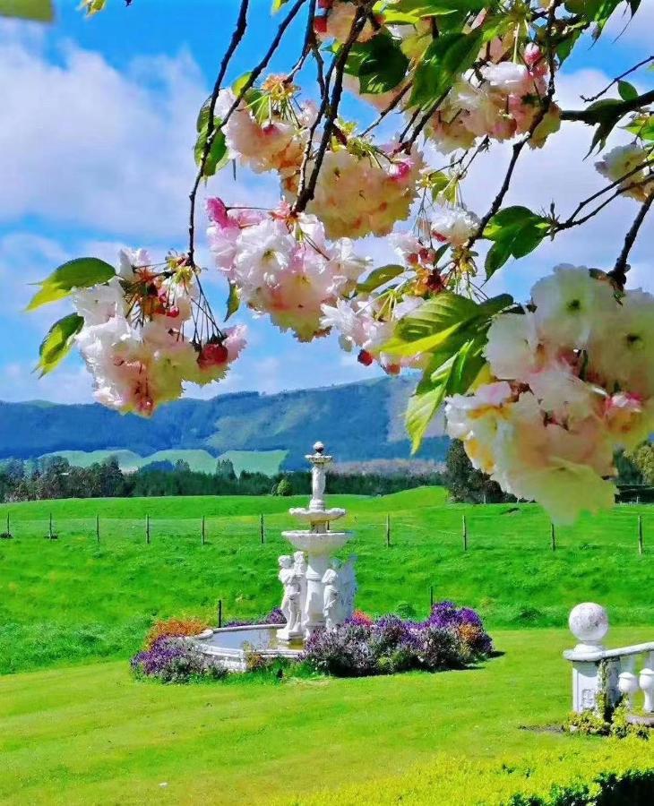 Country Villa Estate Ngongotaha Bagian luar foto