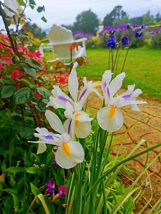 Country Villa Estate Ngongotaha Bagian luar foto