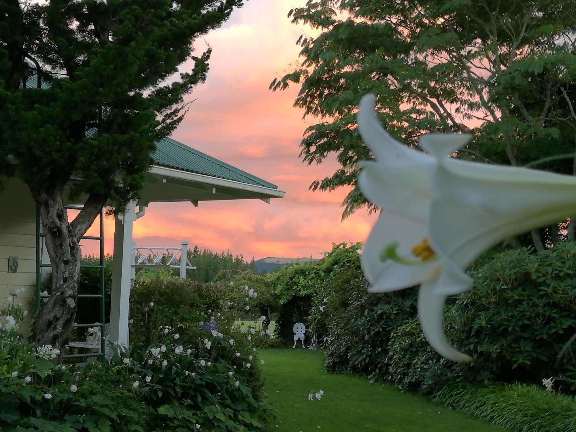 Country Villa Estate Ngongotaha Bagian luar foto